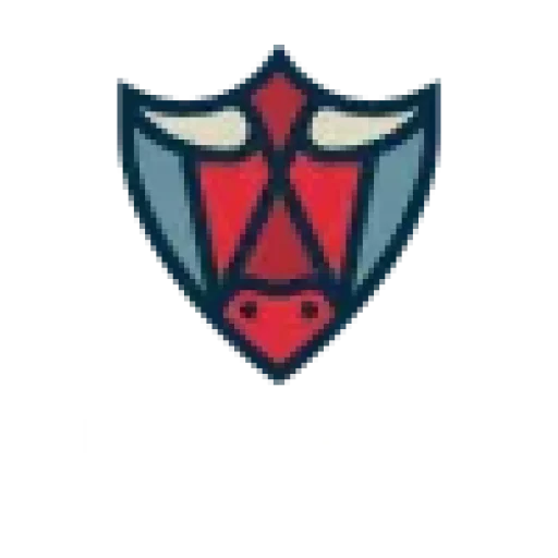 Betbull Logo