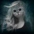 reviewer's avatar