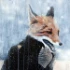 reviewer's avatar